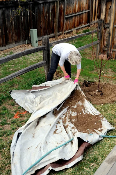 Vrouwelijke tuinman. — Stockfoto