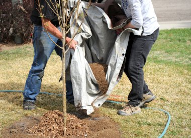 Professional gardeners. clipart