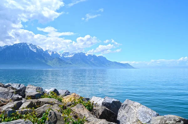 Mountain and Geneva lake, Switzerland — Stock Photo, Image