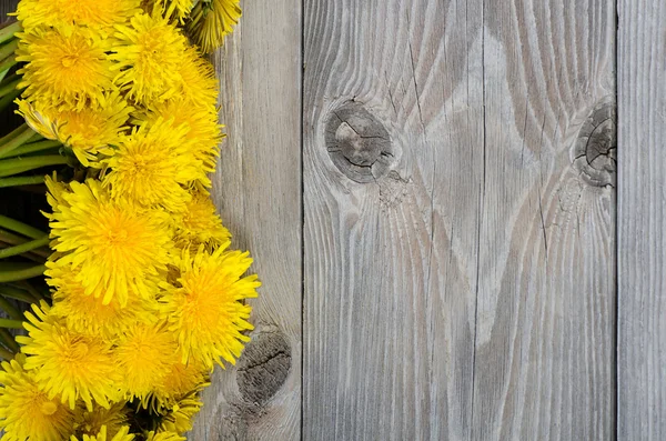 木製の表面に黄色のタンポポ — ストック写真