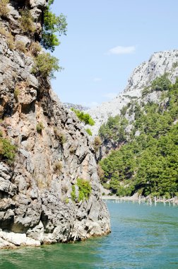 Harika bir manzara mounttain yeşil Kanyon