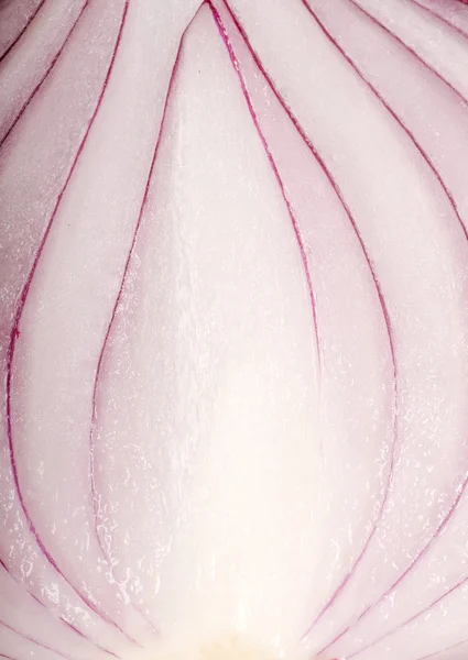 Taze soğan — Stok fotoğraf