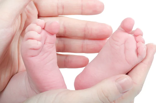 Mother's hands holding baby's feet — Stock Photo, Image