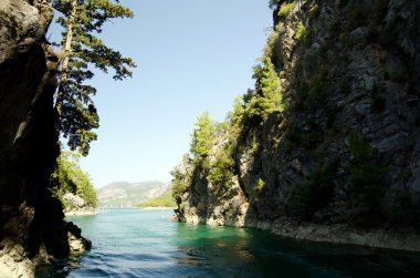 Harika bir manzara mounttain yeşil Kanyon