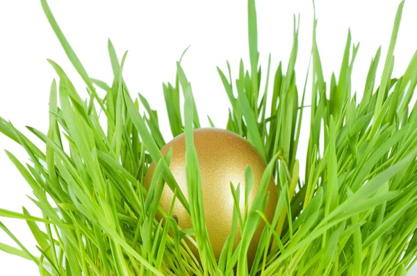 Ovo de ouro em uma grama verde — Fotografia de Stock