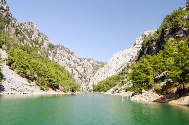 Harika bir manzara mounttain yeşil Kanyon