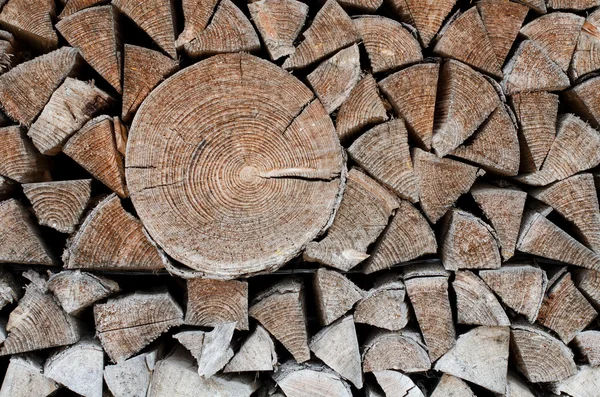 Dřevníku palivového dřeva — Stock fotografie