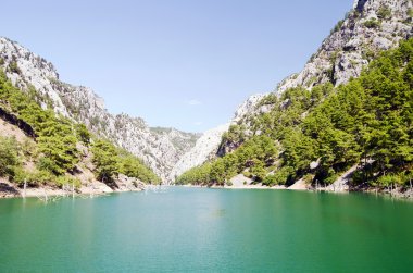 Harika bir manzara mounttain yeşil Kanyon