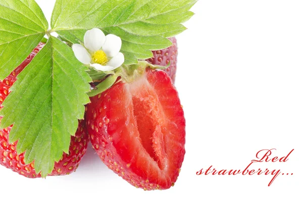 ताजा स्ट्रॉबेरी — स्टॉक फ़ोटो, इमेज