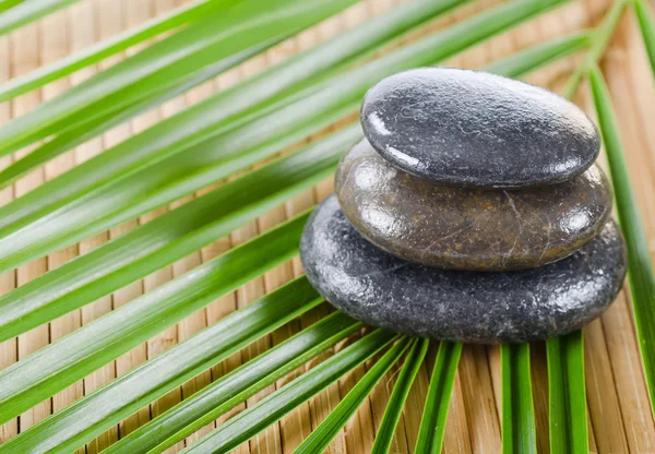 La spa una pietra su bambù — Foto Stock