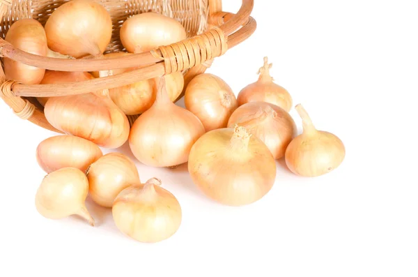 Cebollas frescas — Foto de Stock