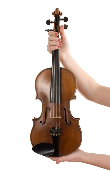 Violin i kvinnliga händer — Stockfoto