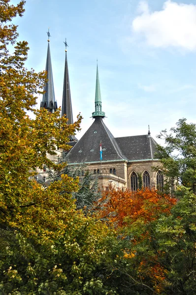 Katedrála Notre dame města Lucemburk — Stock fotografie