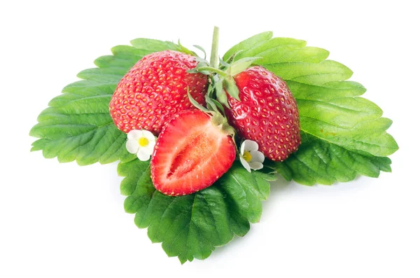 Frische Erdbeere — Stockfoto
