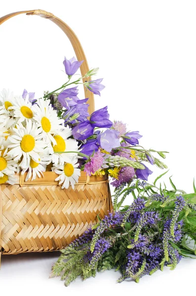 Hermosas flores en una cesta aislada en blanco — Foto de Stock