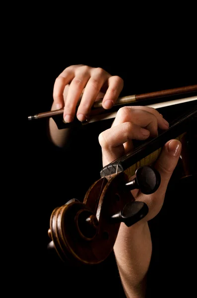 Женские руки играют на скрипке на черном — стоковое фото