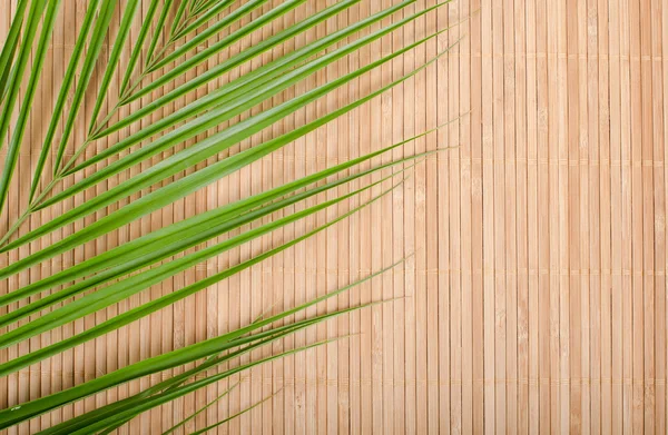 Pozadí z bambusové koberec a palm stromu list — Stock fotografie