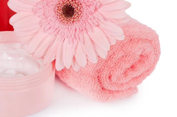 Gerbera rosa e um creme — Fotografia de Stock