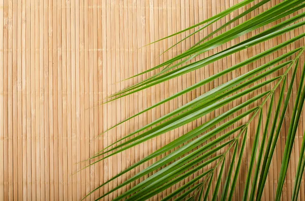 Background from a bamboo rug and palm tree leaf — Stock Photo, Image