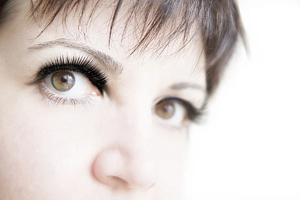 Stock image Eye of woman False eyelashes