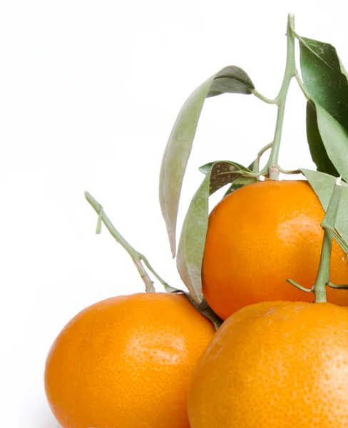 stock image Tangerines isolated on white background