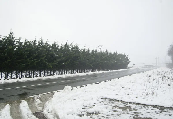Winter snow — Stock Photo, Image