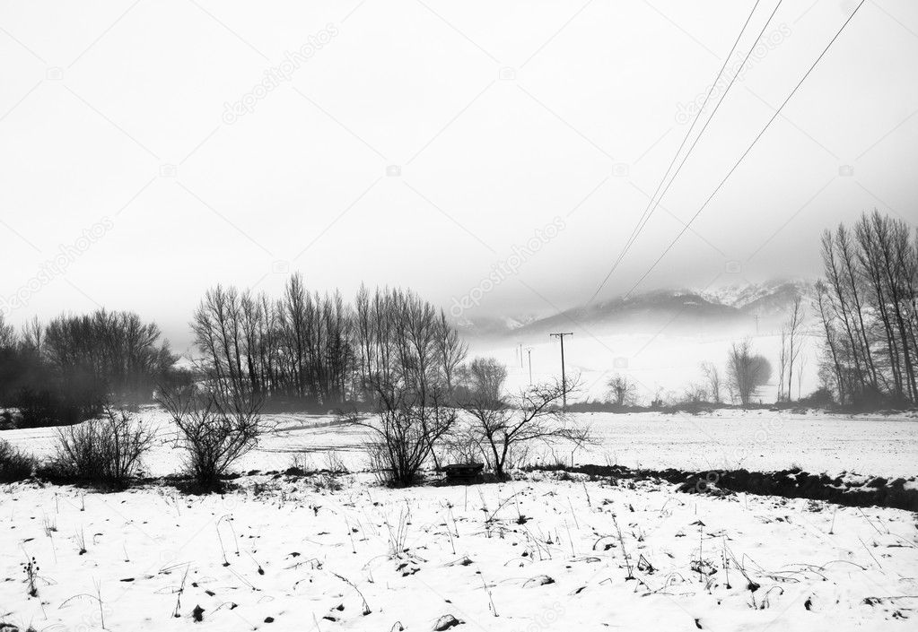Winter snow in black and white