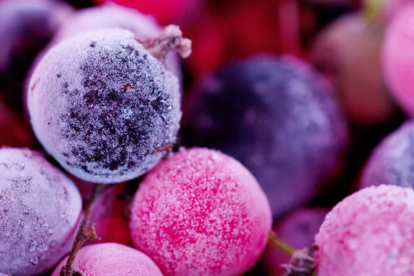 冷冻的浆果 — 图库照片