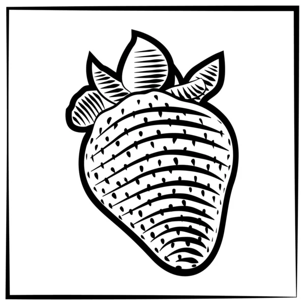 Strawberry-engraving-black-white — Stockvector
