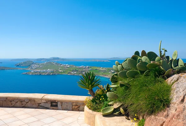 Cama de cactus y hierba en el patio frente al mar y las islas . — Foto de Stock