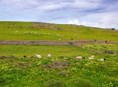 kırsal manzara