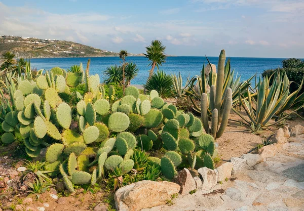 Garten vor dem Hintergrund von Meer und Himmel mit Wolken — Stockfoto