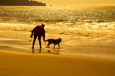 Silhouette of man with dog on beach clipart
