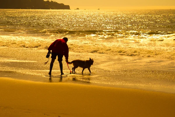 Silhueta de homem com cão na praia — Fotografia de Stock