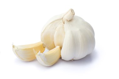 Garlic clipart