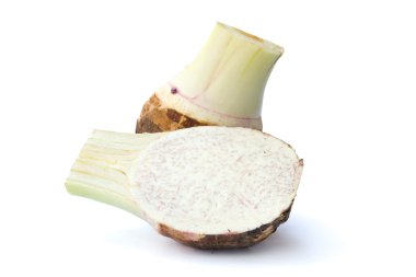 Taro root clipart