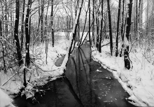 Vinterlandskap med liten elv. – stockfoto