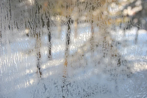 Winter view through frosted window glass. — Stock Photo, Image