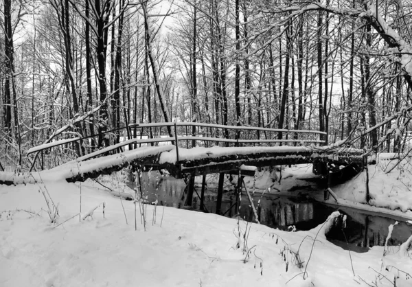 小さな川と足パスと冬の風景. — ストック写真