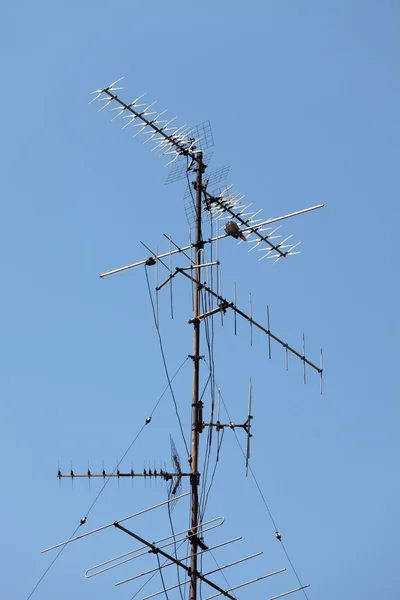 Antenler — Stok fotoğraf