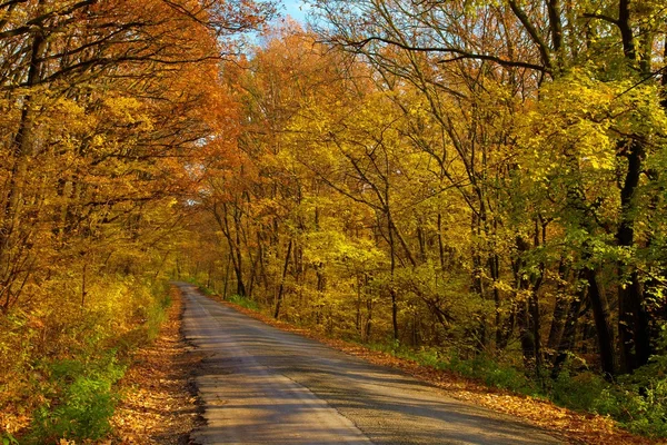 stock image Autumn Road