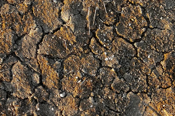 Soil Texture — Stock Photo, Image