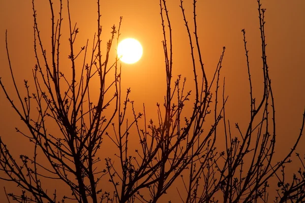 stock image Sunset