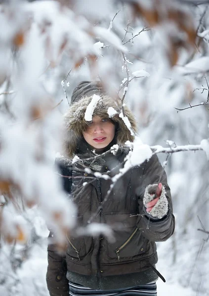 겨울 동화 — 스톡 사진