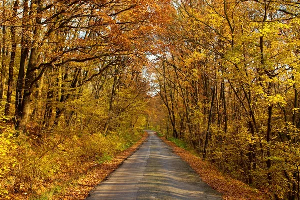 Sonbahar yol — Stok fotoğraf