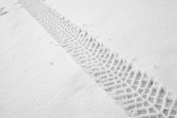 Winter trail — Stockfoto