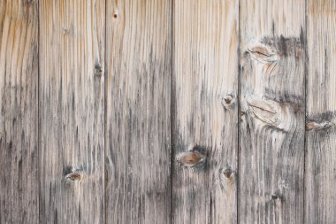 Wood texture clipart