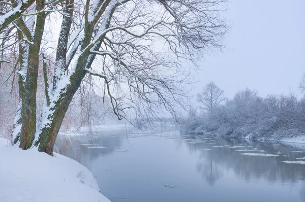 Fiume invernale quando nevica — Foto Stock