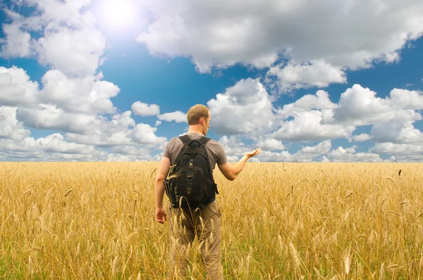 Muž v poli žito za slunečného letního dne — Stock fotografie