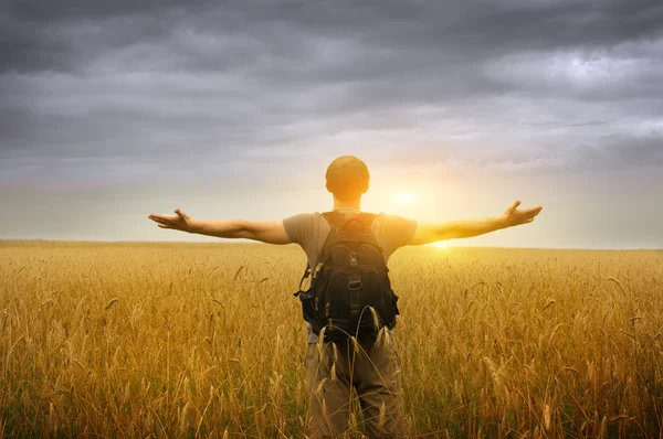 Молодой человек стоит на пшеничном поле — стоковое фото
